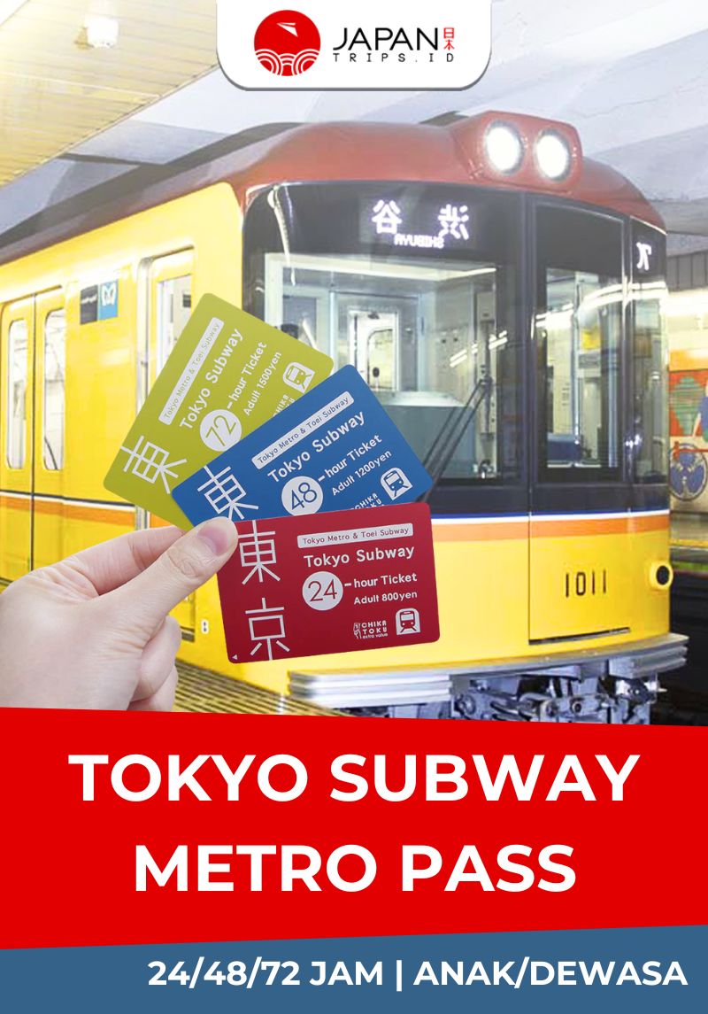 Tokyo Subway Metro Pass