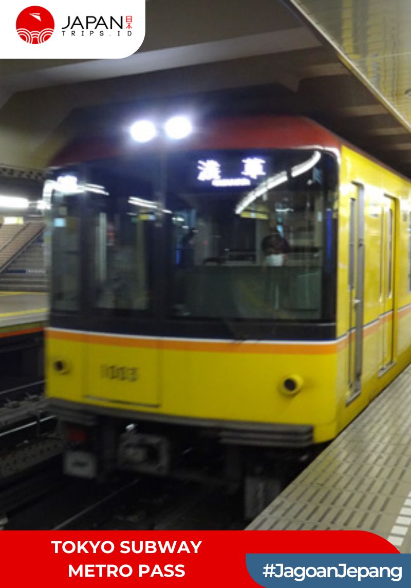 Tokyo Subway Metro Pass