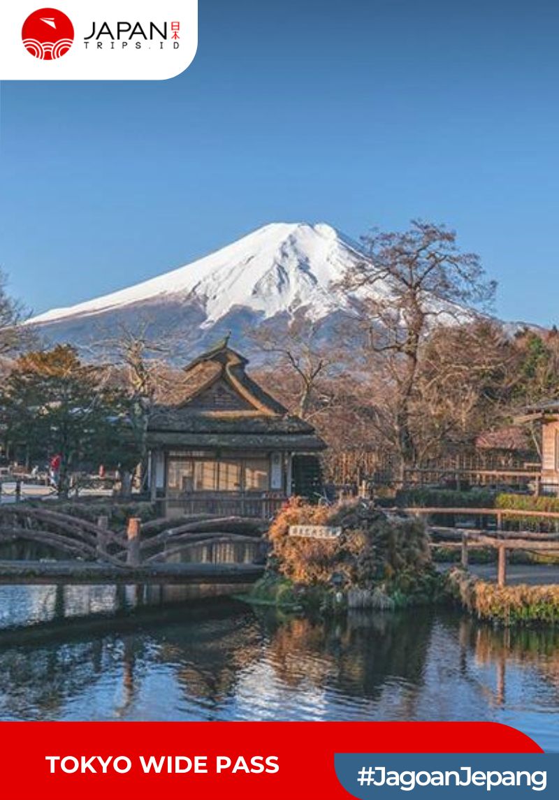 Tokyo Wide Pass 3 Days | JR Pass Tokyo Wide