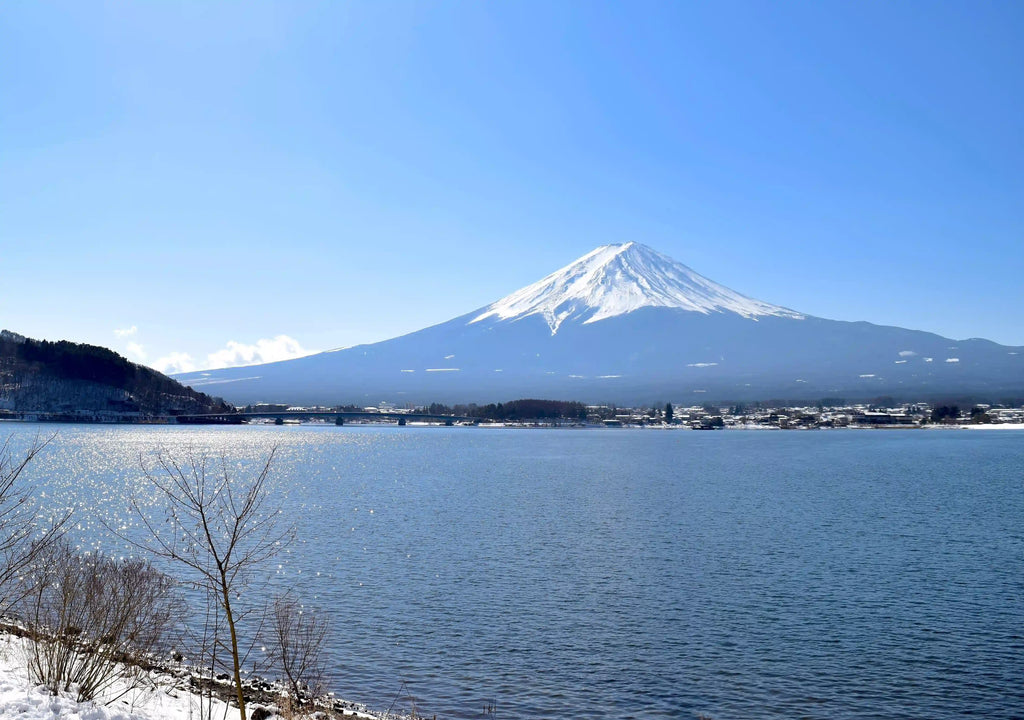 Image Banner