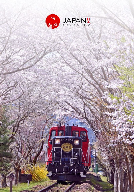 1 Day kyoto Sagano Romantic Train Tour