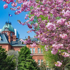 Hokkaido in Spring: Inilah Berbagai Spot Bunga Sakura Terbaik yang Ada di Hokkaido