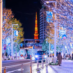 Winter Illumination Japan: Destinasi Winter Illumination di Jepang yang Harus Dikunjungi