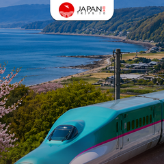 JR Tohoku-South Hokkaido Rail Pass 6 Days