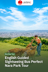 English Guided Sightseeing Bus Perfect Nara Park Tour | Tur Taman Nara