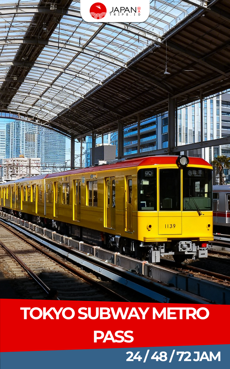 Tokyo Subway Metro Pass