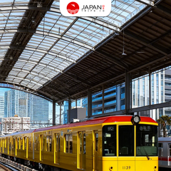 Tokyo Subway Metro Pass