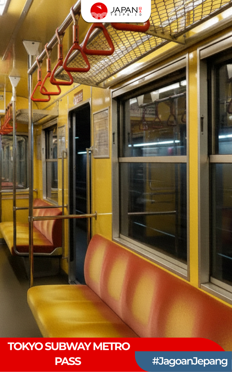 Tokyo Subway Metro Pass