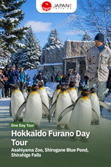 Hokkaido Furano Day Tour | Asahiyama Zoo, Shirogane Blue Pond, Shirahige Falls