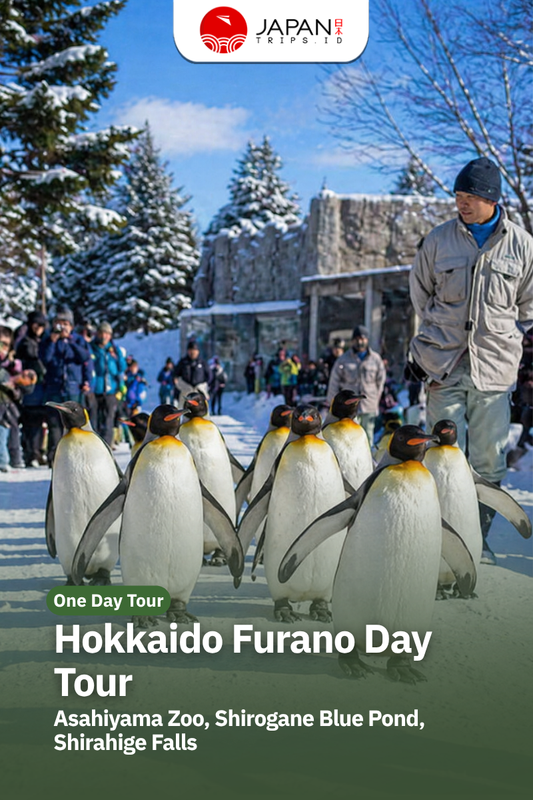 Hokkaido Furano Day Tour | Asahiyama Zoo, Shirogane Blue Pond, Shirahige Falls