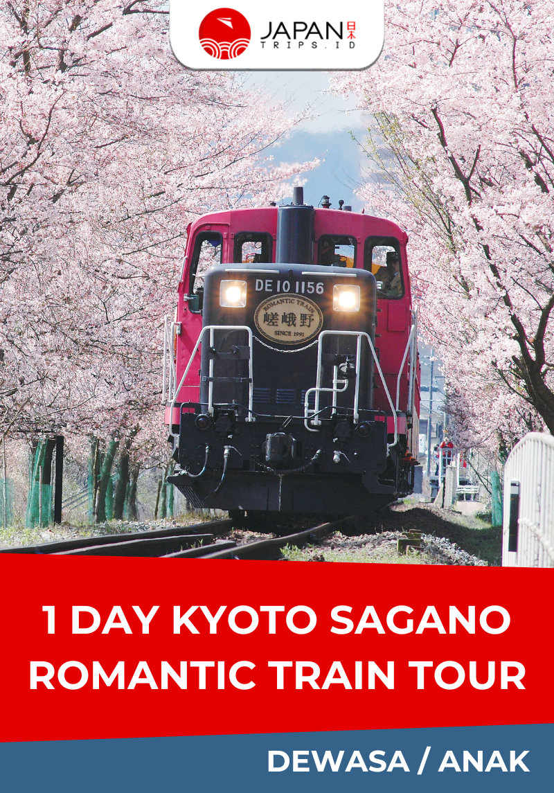 1 Day kyoto Sagano Romantic Train Tour