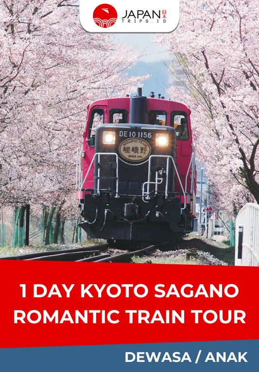 1 Day kyoto Sagano Romantic Train Tour