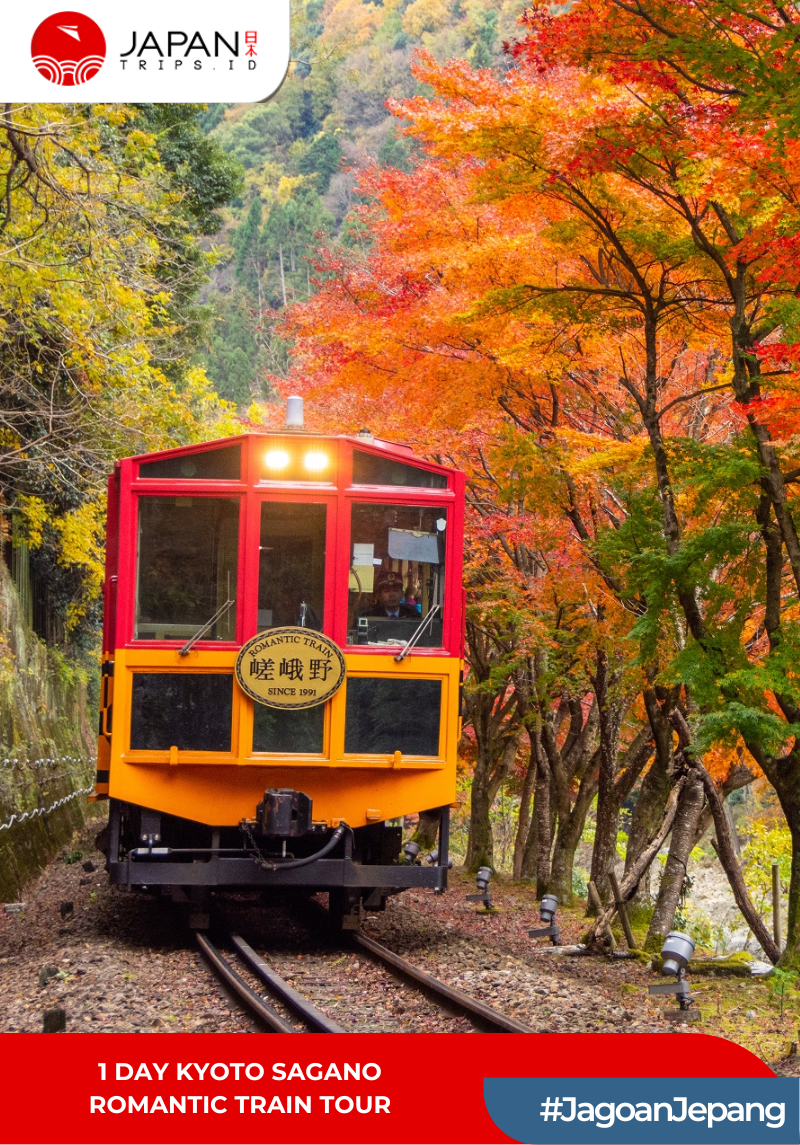 1 Day kyoto Sagano Romantic Train Tour