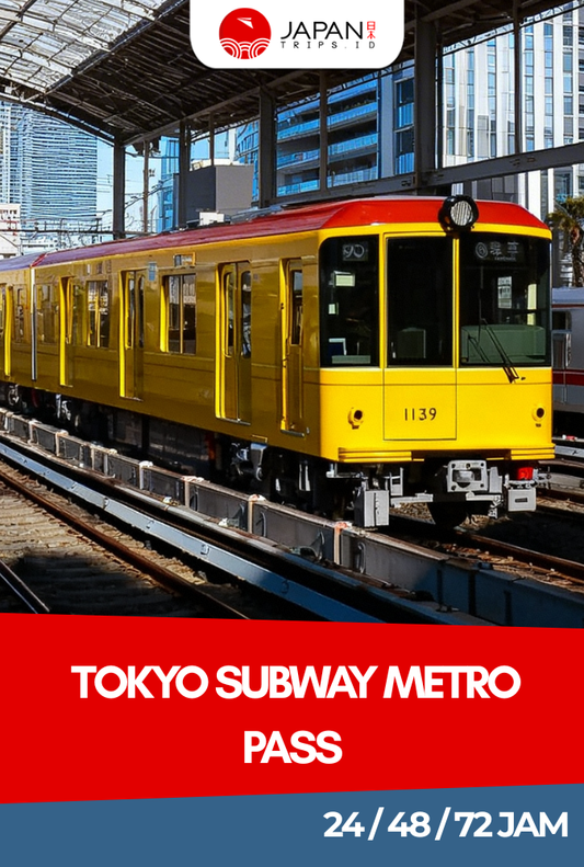 Tokyo Subway Metro Pass