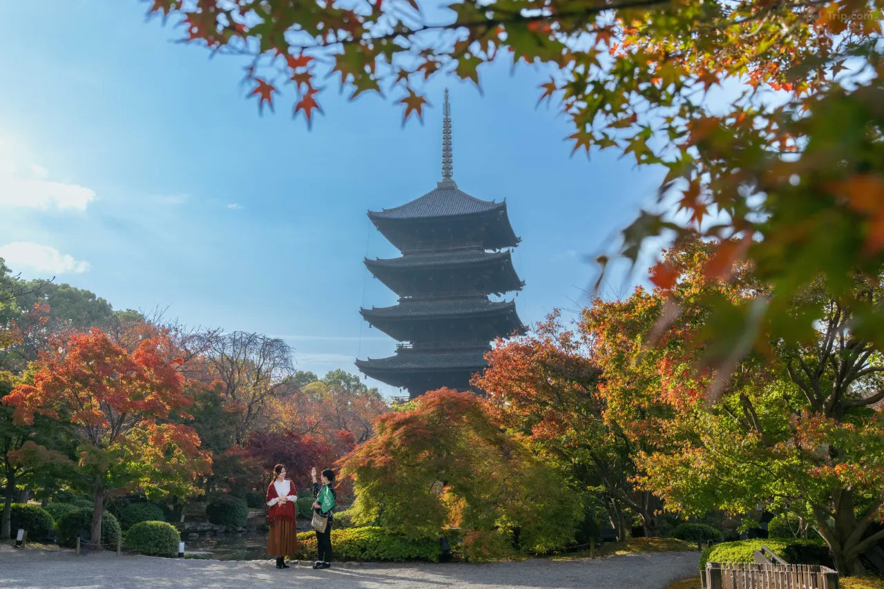 OMO3 Kyoto Toji by Hoshino Resorts