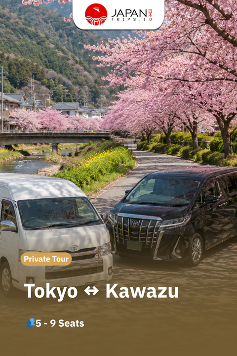 Private Tour 10 Hours Tokyo ↔ Kawazu