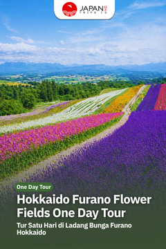 Hokkaido Furano Flower Fields One Day Tour | Tur Satu Hari di Ladang Bunga Furano Hokkaido