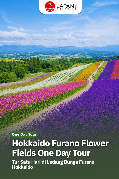 Hokkaido Furano Flower Fields One Day Tour | Tur Satu Hari di Ladang Bunga Furano Hokkaido