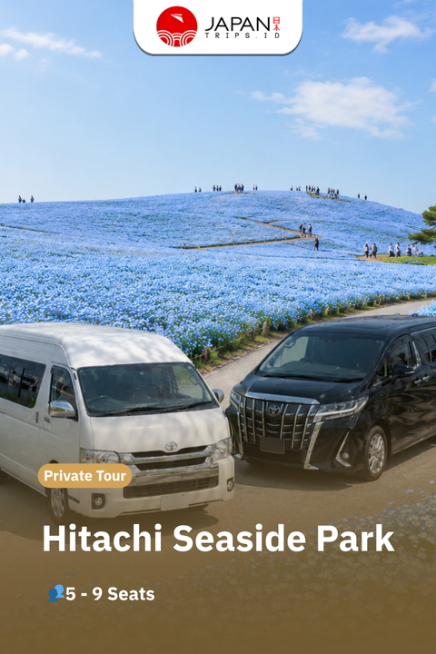Private Tour Jepang – Hitachi Seaside Park