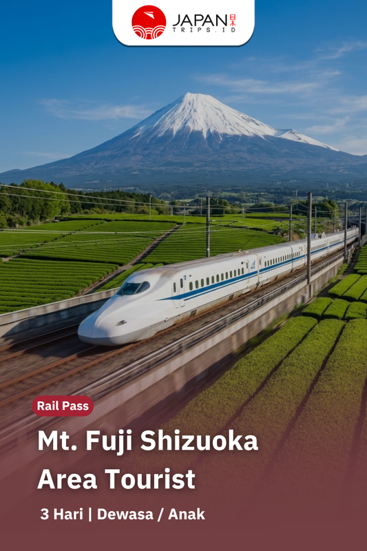 Mt. Fuji Shizuoka Area Tourist Pass Mini 3 Days