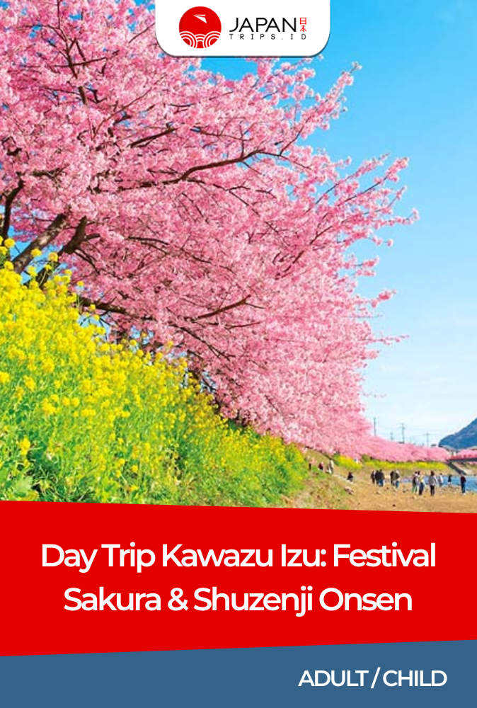 Day Trip Kawazu Izu: Festival Sakura & Shuzenji Onsen | Japan