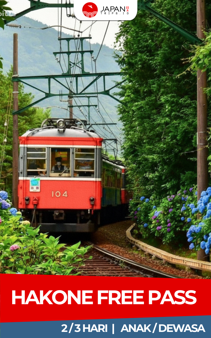 Hakone Freepass 2/3 Days | Shinjuku Odawara Pass