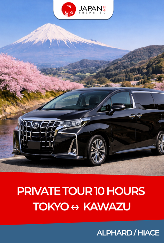 Private Tour 10 Hours Tokyo ↔ Kawazu