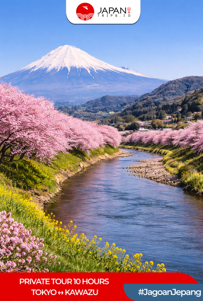 Private Tour 10 Hours Tokyo ↔ Kawazu