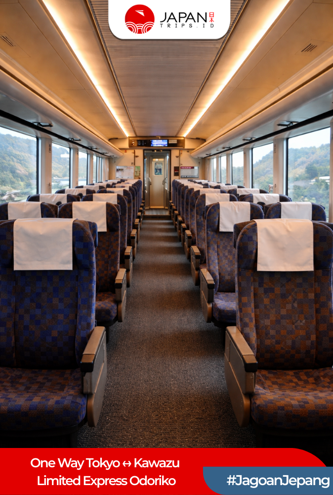 One Way Tokyo ↔  Kawazu Limited Express Odoriko