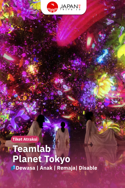 teamLab Planets Tokyo Ticket