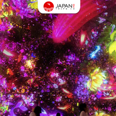 teamLab Planets Tokyo Ticket