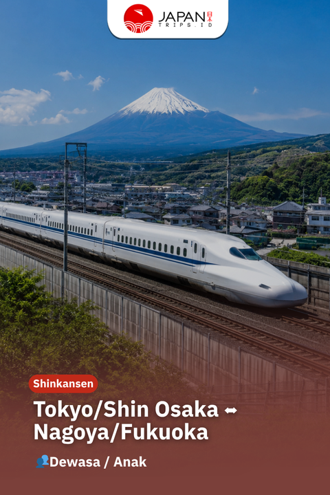 Shinkansen Tokyo/Shin Osaka/Kyoto To Nagoya/Fukuoka One Way Ticket | Nozomi Shinkansen