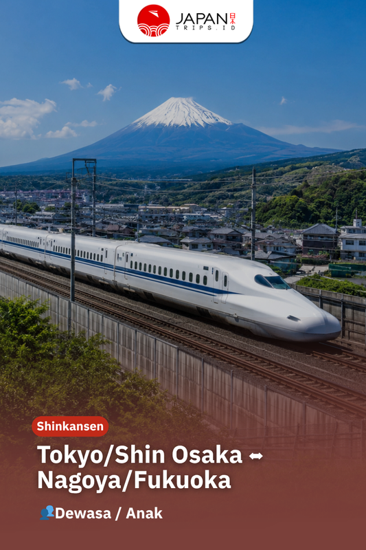 Shinkansen Tokyo/Shin Osaka/Kyoto To Nagoya/Fukuoka One Way Ticket | Nozomi Shinkansen