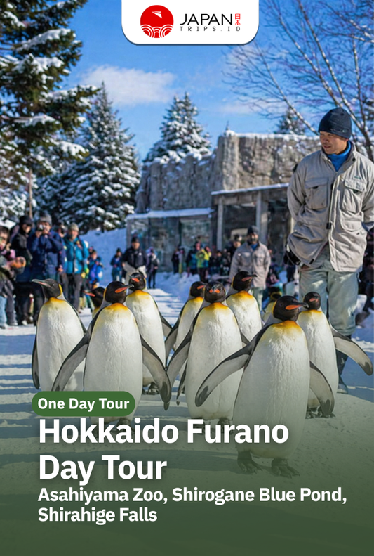 Hokkaido Furano Day Tour | Asahiyama Zoo, Shirogane Blue Pond, Shirahige Falls