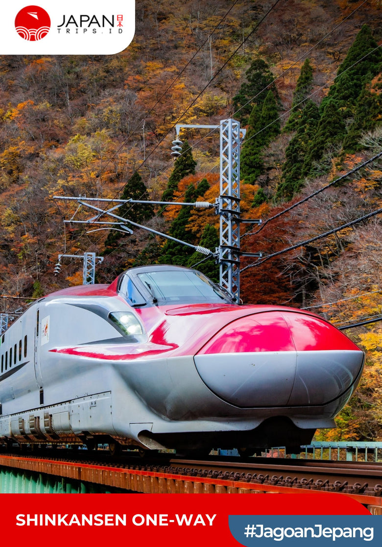 Shinkansen Mizuho Hakata to Fukuyama