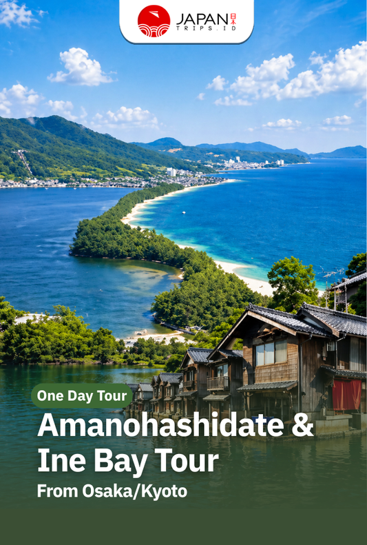 Amanohashidate & Ine Bay Tour From Osaka/Kyoto