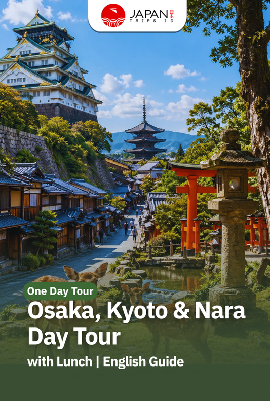 Osaka, Kyoto & Nara Day Tour with Lunch | English Guide