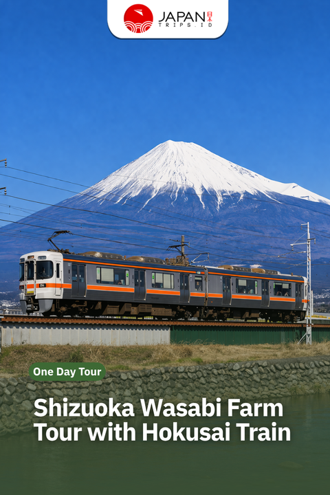 Shizuoka Wasabi Farm Tour with Hokusai Train