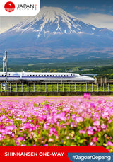 Shinkansen Mizuho Hakata to Fukuyama