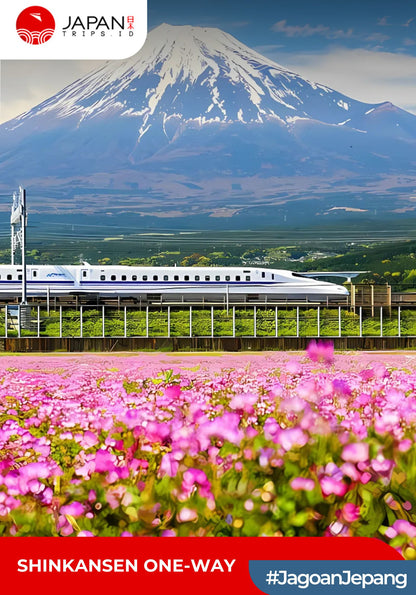Shinkansen Nozomi Shin-Osaka to Nagoya