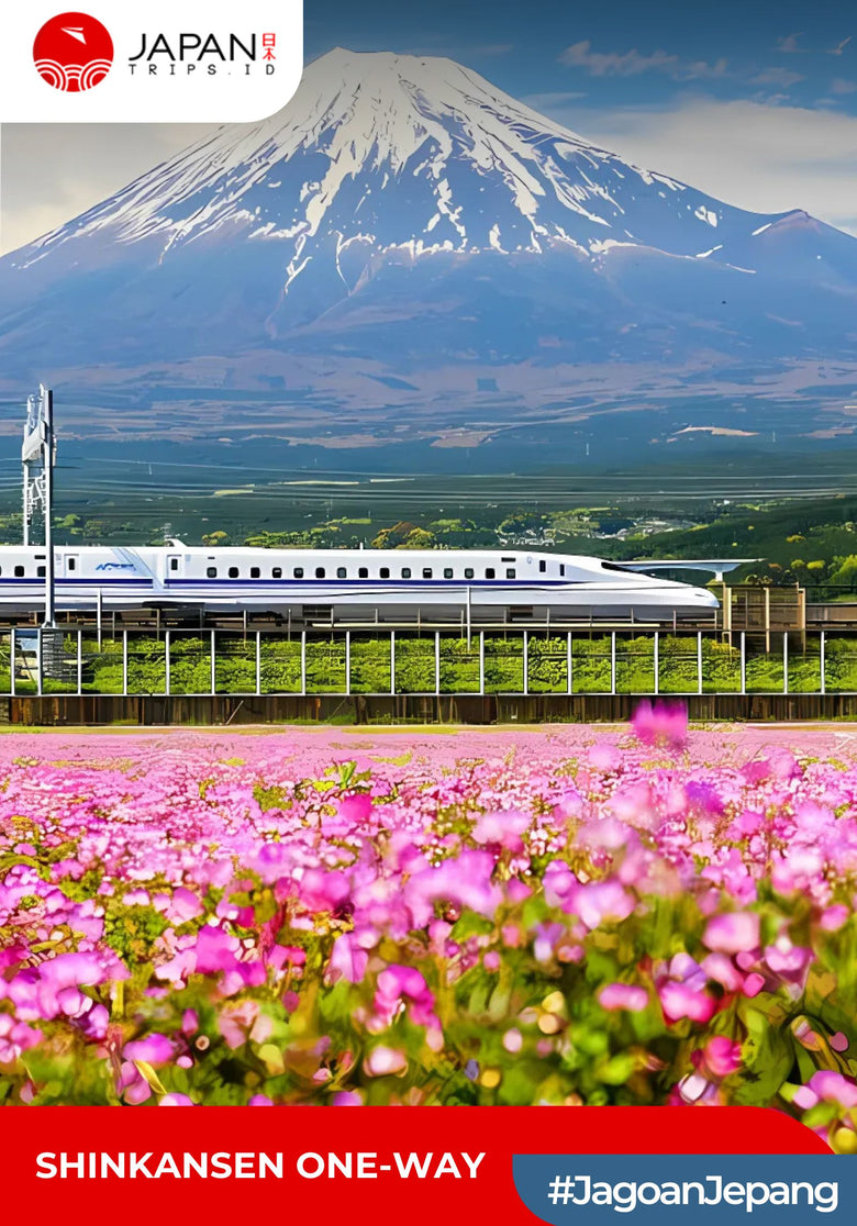 Shinkansen Mizuho Hakata to Fukuyama