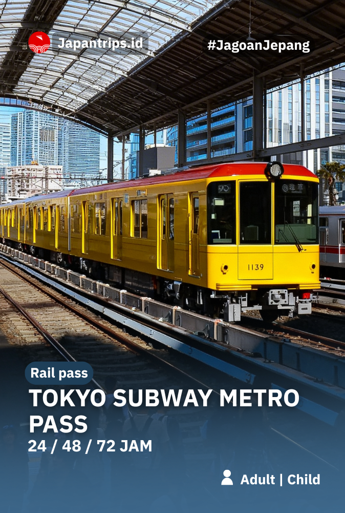 Tokyo Subway Metro Pass