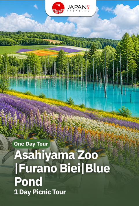 Asahiyama Zoo・Furano Biei・Blue Pond 1 Day Picnic Tour