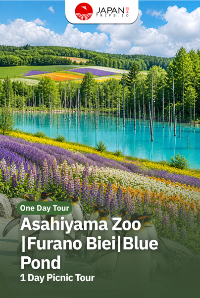 Asahiyama Zoo・Furano Biei・Blue Pond 1 Day Picnic Tour