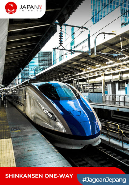 Shinkansen Nozomi Shin-Osaka to Nagoya