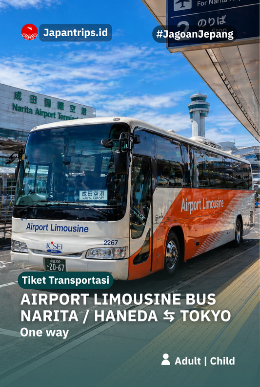 Haneda & Narita Limousine Bus to Tokyo | One Way