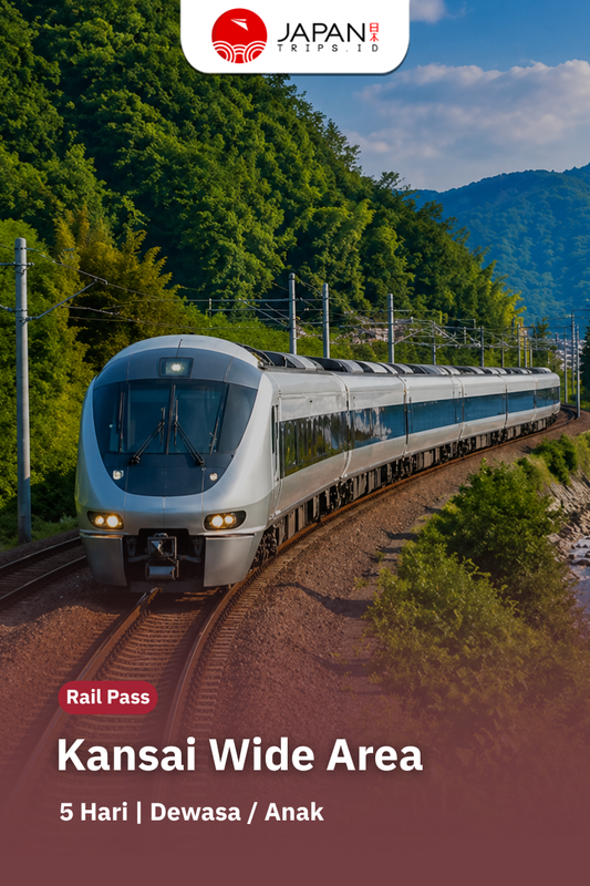 Kansai WIDE Area Pass 5 Days