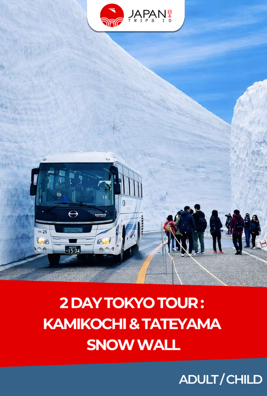 2 Day Tour Tokyo : Kamikochi & Tateyama Snow Wall