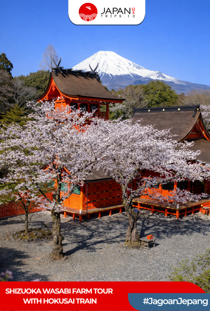 Shizuoka Wasabi Farm Tour with Hokusai Train