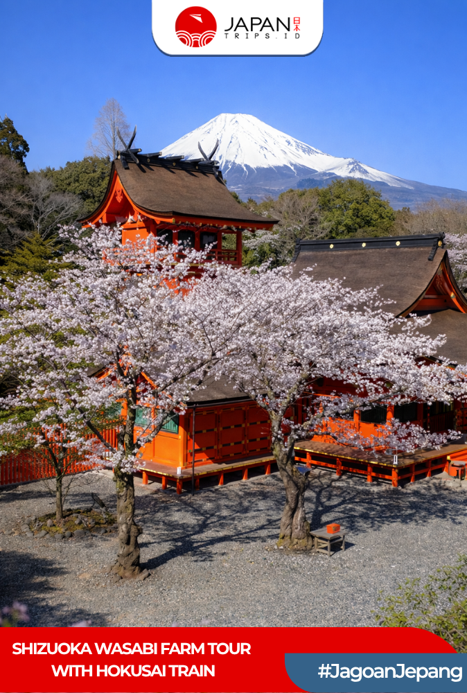 Shizuoka Wasabi Farm Tour with Hokusai Train